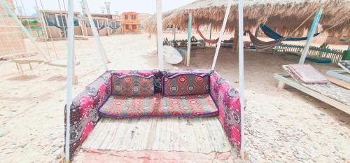 Wasit Otro | Starlight Camp Nuweiba