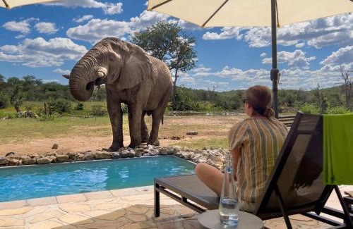 Okaukuejo Cabina | Ongava Tented Camp