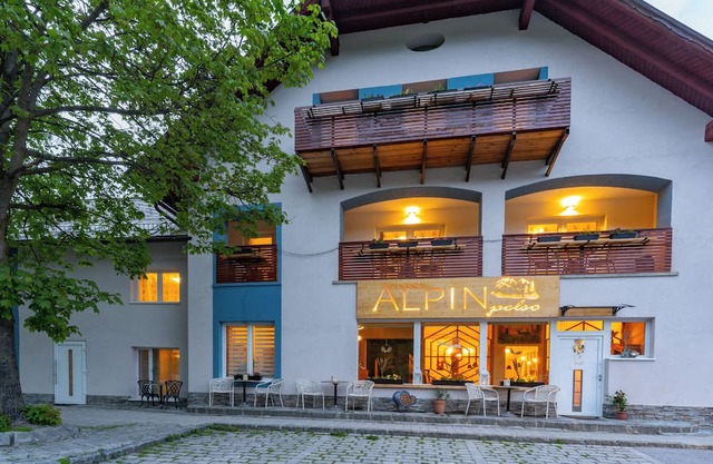 ALPINpelso