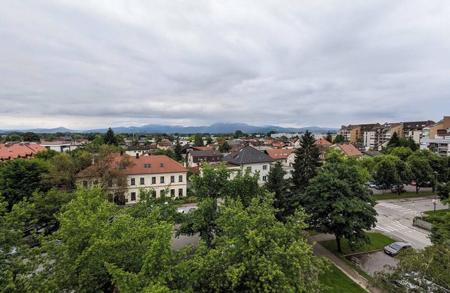 Studio Apartment Monstera- "A peaceful getaway in the city center."
