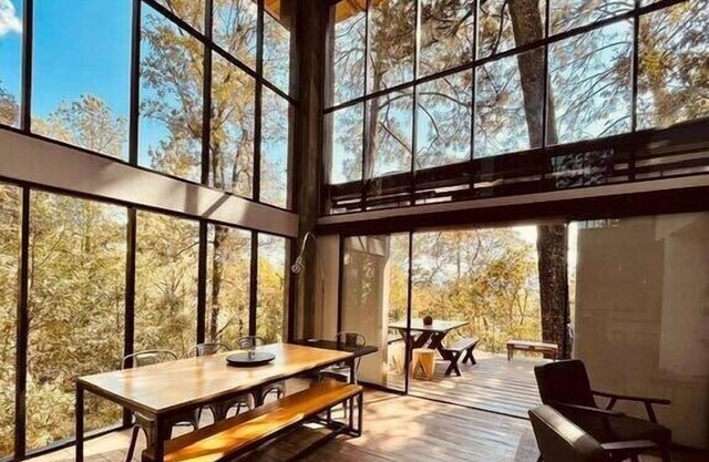 Lovely house with forest view