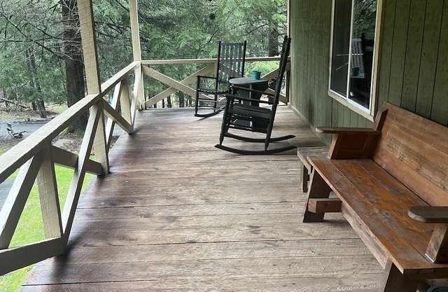 Charming cabin with creek, fire pit. Pet friendly! Walkable to Salt Springs Prk