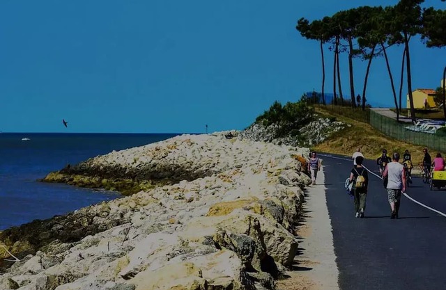 Camping Bonne Anse Plage by Océan Mobilhomes **** - Mobile home BA662 36 m² 3 bedrooms 6 people