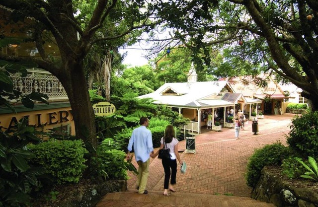 Cosy guesthouse nestled on 5 acres of tropical lush landscape in Montville.