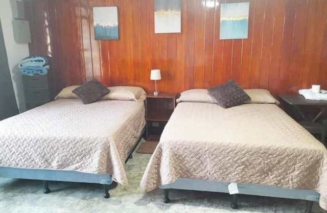 1 Comfy Dual: Convenience & Comfort Galore & 2 Nice and comfortable central apt