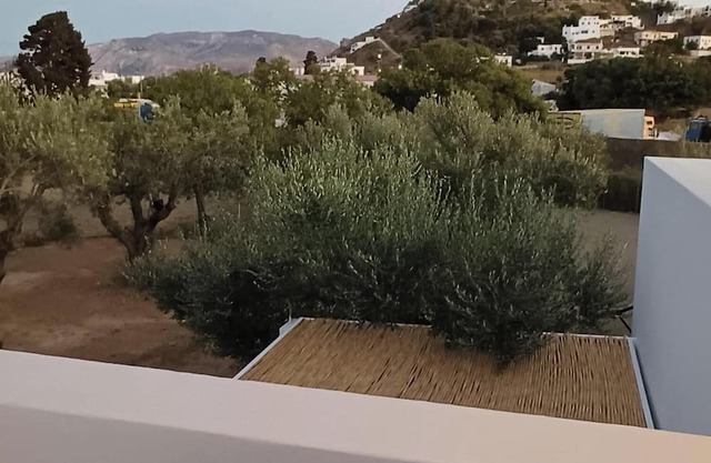 OLIVE GROVE VILLA SKYROS ISLAND