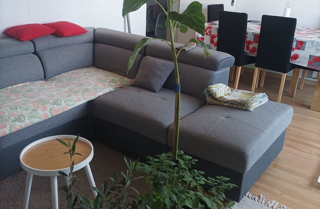 Spacious, fully-equipped apartment 5 minutes from the center and château of Compiègne