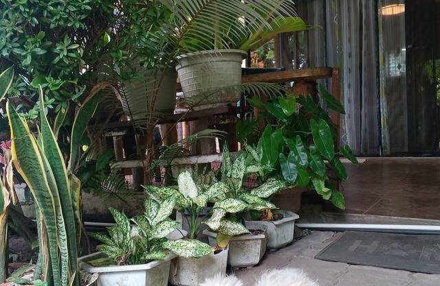 Two Bedroom Camiguin Vacation House Retreat on Mambajao near all perks