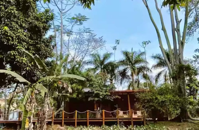 Pitanga Suite