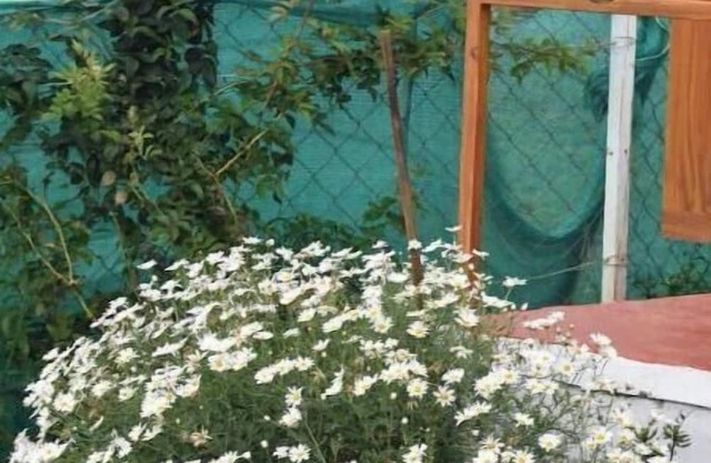 Kathiresan's Diamond hill view cottage