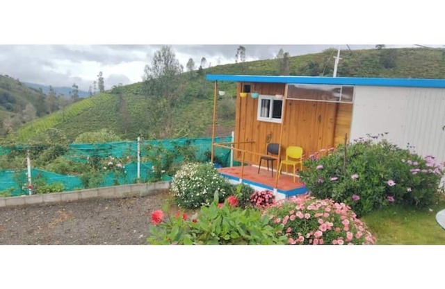 container wood house