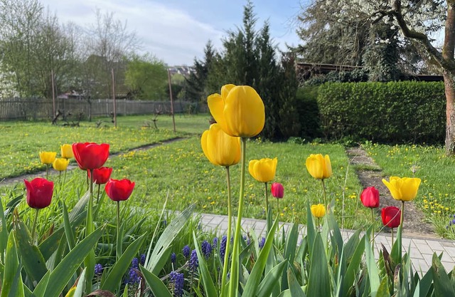 Green oasis in Weikersheim, close to the center in a very quiet location.