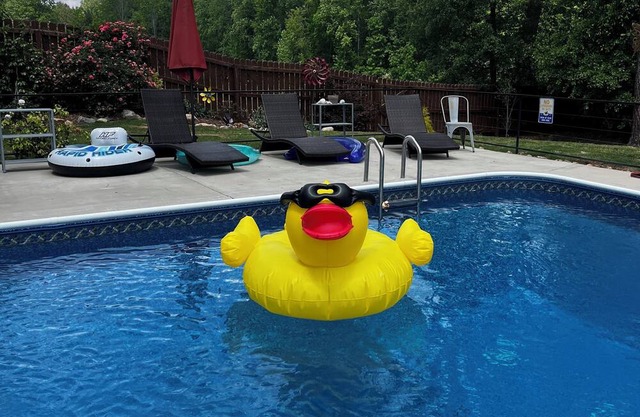 The Oasis! Close to downtown Raleigh & Coastal Credit Union at Walnut Creek