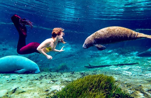 Weeki Wachee Crystal blue Springs river house with Kayaks