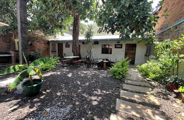 Casa Aguacate (una aventura bajo el arbol)