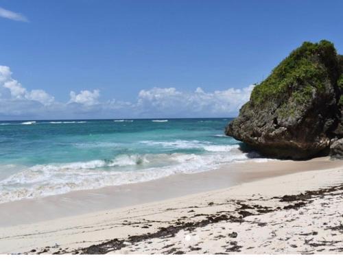 Vipingo development
