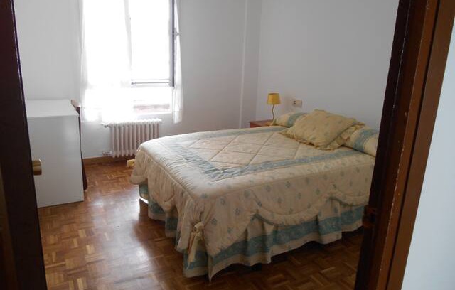 Labradores Otro | Alquiler habitación Alamedilla 2