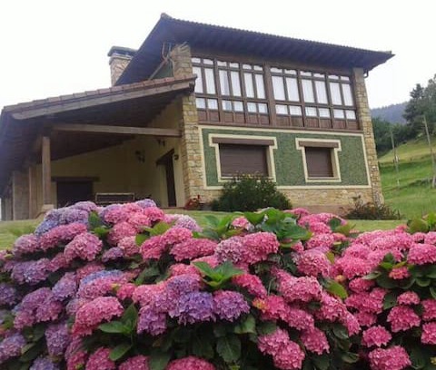 La Llana Casa | Casa verde de Bierces
