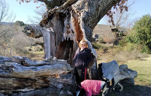 La Poveda de Soria Cabina | Todo a tu alcance y a tu manera.
