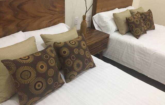 Ciudad Insurgentes Hotel | Hotel Doce Ballenas