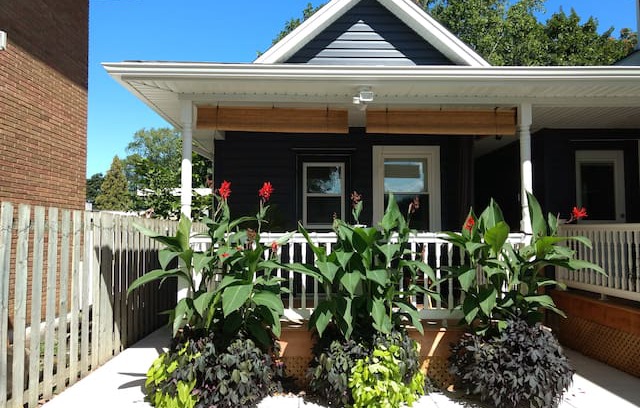 York - Haig Casa | The Little Blue House
