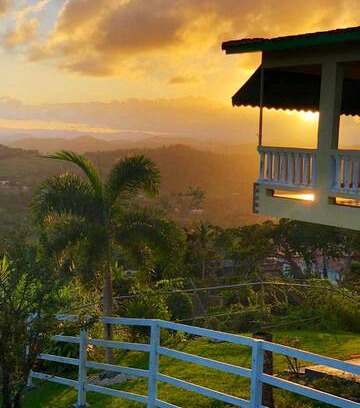 Ceiba Cabina | Casa viejo San Juan en el Campo