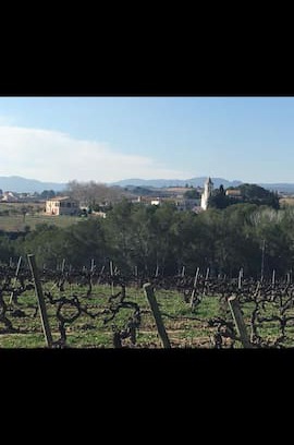 Font-Rubi Cabina | Authentic farmhouse among the vineyards.