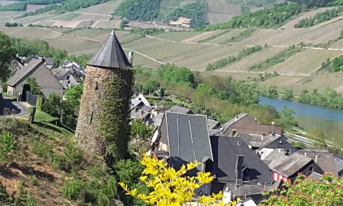 Briedel Apartamento | Cozy apartment near Zell a d Mosel in Briedel. Dog friendly