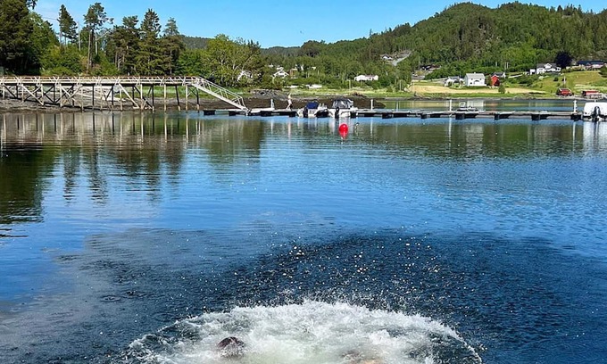 Leksvik Casa | 6 person holiday home in Åsenfjord