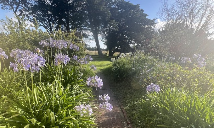 Limonite Casa | Diggers rest farm house and event hire property
