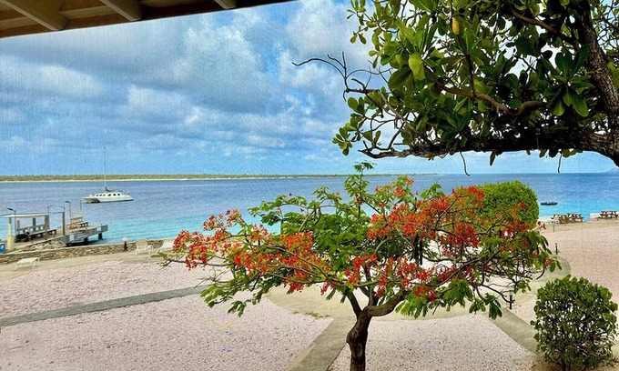 Kralendijk Condominio | Stunning Oceanfront 2-Bed, High End Remodel, Luxury Furnishings, Sand Dollar A6