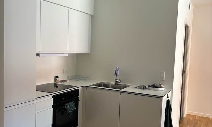 Odense Condominio | Central apartment Odense (Jarl)