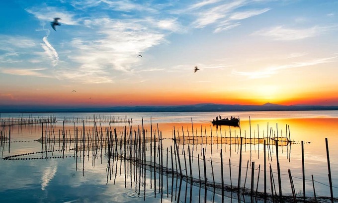 Pobles del Sud Apartamento | Suite Superior con Vistas Albufera Dreams Nature Suites