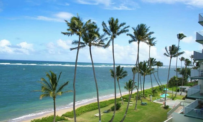 Punaluu Apartamento | Palm Beachfront | Amazing view, Pool, beach gear