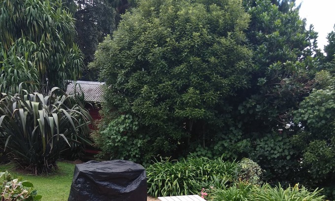 Karangahake Cabaña | Ideal couples getaway in the beautiful, quiet hills of Karangahake Gorge.