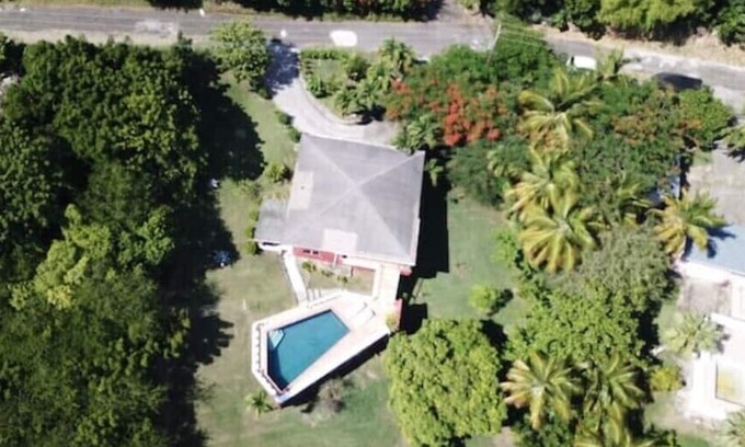 Old Towne Casa | Bananaquit at the beach!
