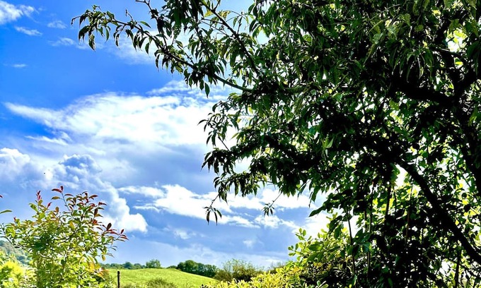 Charlton Horethorne Cabaña | Renovated Cottage in Sherborne with Stunning Views