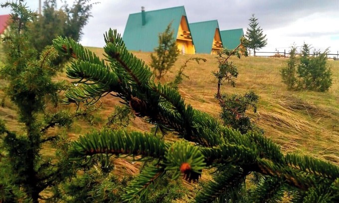 Zabljak Cabina | D&N place