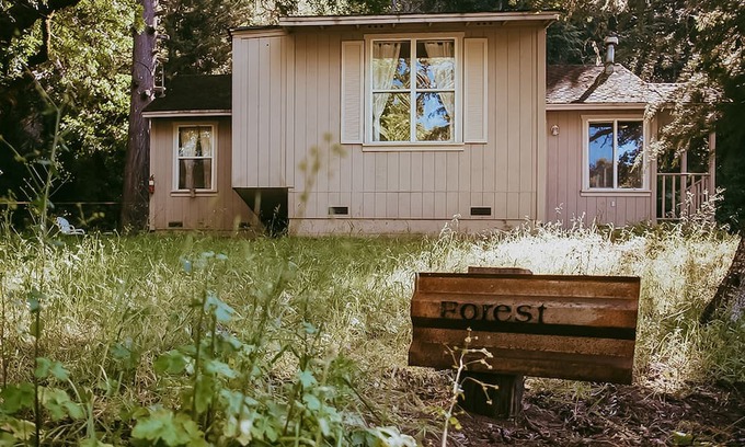 Hopland Cabaña | Idyllic wine country cottage surrounded by fir & oak trees - water view patio