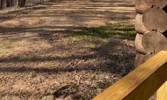 Tylertown Cabina | Less than 10 minutes to Paradise Ranch Resort Campground