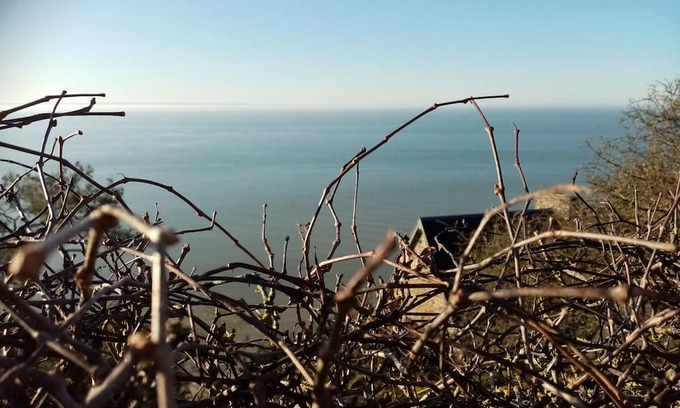 Champeaux Cama Y Desayuno | La Campagne au Bord de la Mer. Une Chambre Chez L'habitant et ses Animaux