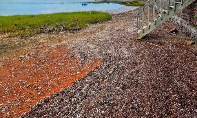 O'Leary Casa | Wild Roses By The Sea in Fortune Cove, PEI A Home All Yours on Mill River