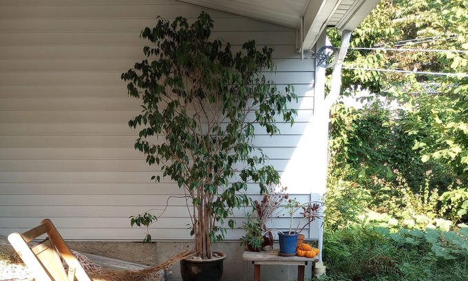Nelsonville Casa | Village Home: West Point Graduation, Summer 2024. Hiking, Main St. Hudson River