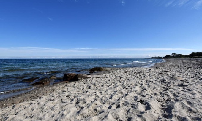 Hohenfelde Apartamento | "Seagull nest" on the Baltic Sea beach