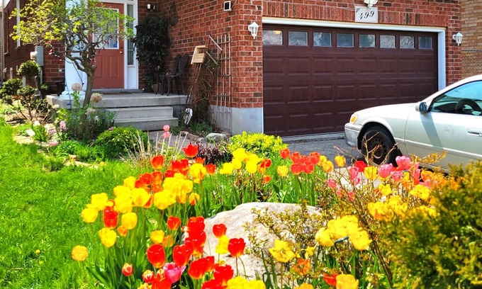 Waterloo Casa | Newly renovated spacious basement room with separate entrance