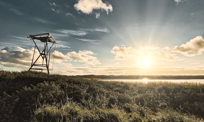 IJmuiden Complejo | Basecamp Tiny House Eco Resort