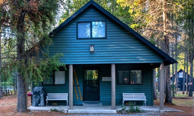 Island Park Cabina | Cozy Bear Cabin | Sleeps 8 | Close to River | 33 miles to YNP