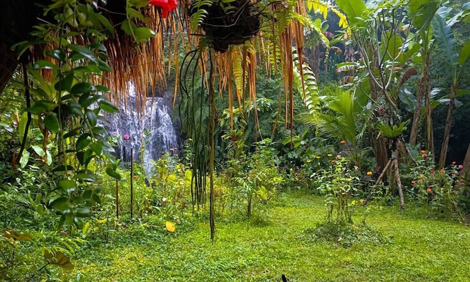 Payangan Casa | Das Dschungel zu Hause Neben Privatem Wasserfall