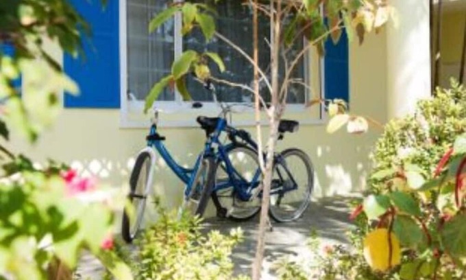 Colliers Bay Complejo | Grand Cayman Wyndham Reef Resort studio