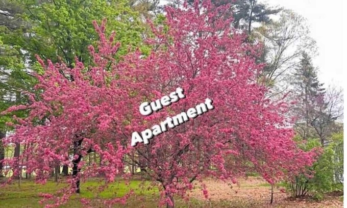 Westfield Apartamento | Guest Apartment: 1bd/1ba/Full Kitchen/100% Private
